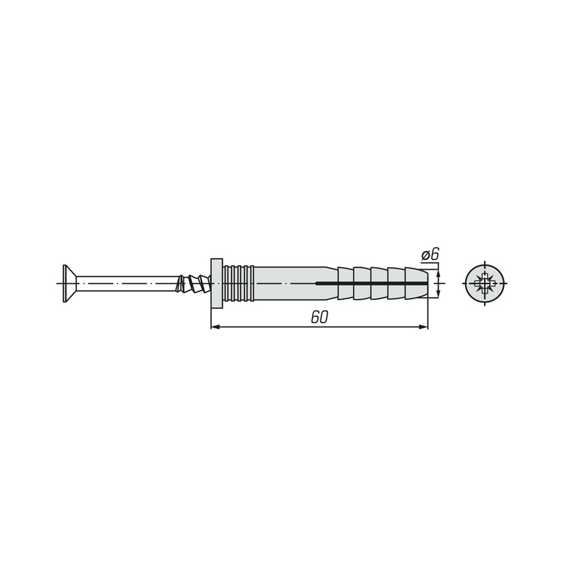Дюбель-гвоздь SWFS 6L60 (100 шт) контейнер круглый
