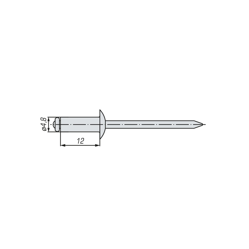 Заклепка вытяжная комбинированная SWFS 4,8х12 (100 шт)
