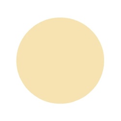 Шпаклёвка по дереву Текс Биотекс сосна (0,75 кг)