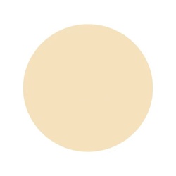 Шпаклёвка по дереву Текс Биотекс бук (0,75 кг)