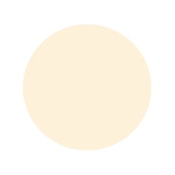 Шпаклёвка по дереву Текс Биотекс берёза (0,75 кг)