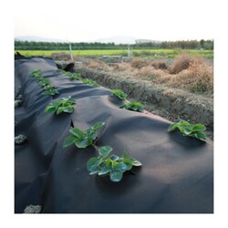 Геотекстиль спанбонд Экоспан Гео, плотность 60 г/м² (1,6х25 м)