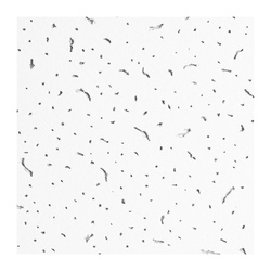 Плита потолочная Armstrong Bajkal, кромка Board, 600х600х12 мм (20 шт.)